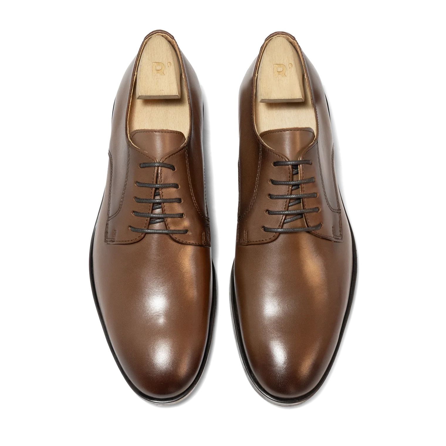 Larry - Image 5